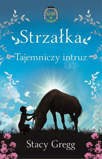 Klub w siodle. Tom 2. Strzałka. Tajemniczy intruz
