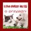 O PRZYJAŹNI TYLKO DOBRE MYŚLI