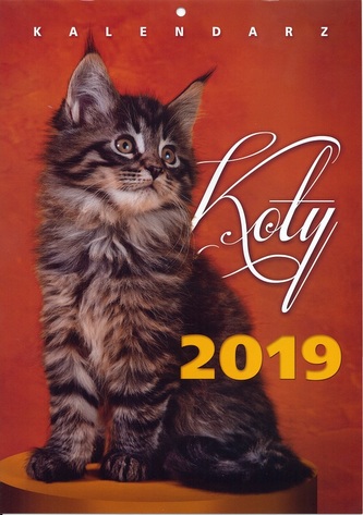 Kalendarz 2019 ścienny Koty