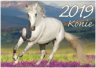Kalendarz 2019 Konie KA5