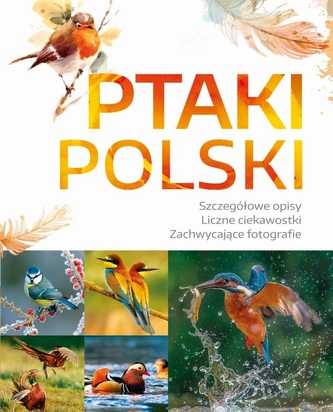 Ptaki Polski