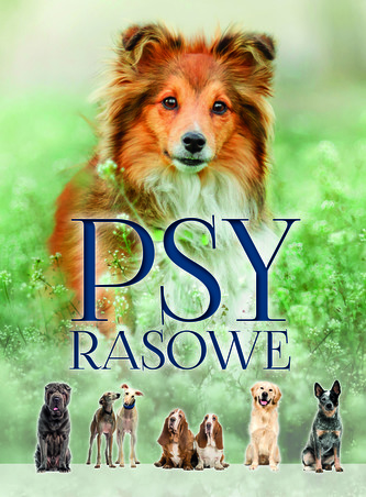 Psy rasowe