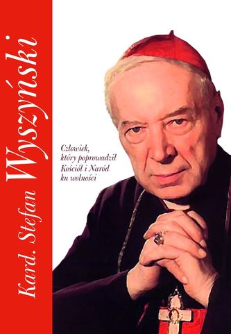 Poduszka turystyczna - Niebieska