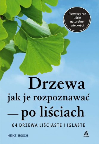 Drzewa - jak je rozpoznawać
