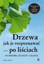 Drzewa - jak je rozpoznawać