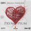 Pryncypium audiobook