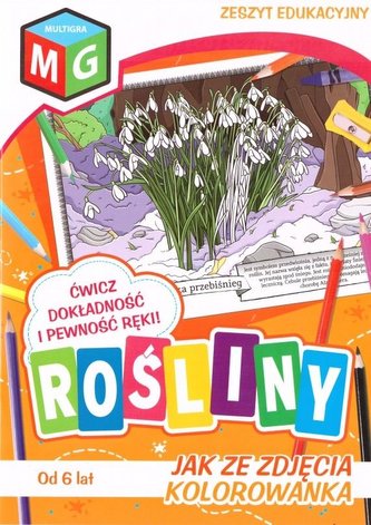 Jak ze zdjęcia - Rośliny
