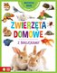 Wszystko wiem! Zwierzęta domowe