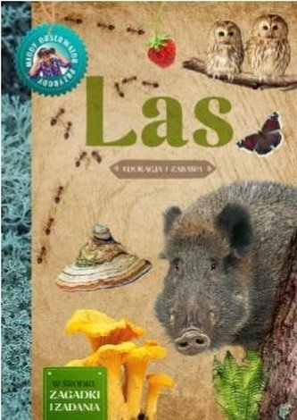 Młody Obserwator Przyrody. Las