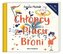 Chłopcy z Placu Broni. Audiobook