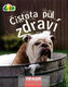 Čistota půl zdraví