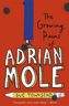 The Growing Pains of Adrian Mole