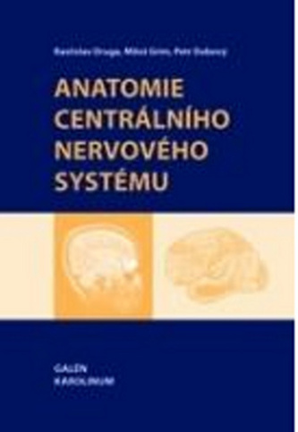 Anatomie centrálního nervového systému