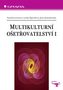 Multikulturní ošetřovatelství I
