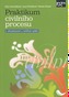 Praktikum civilního procesu
