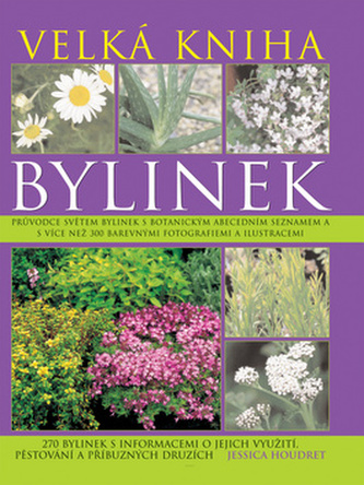 Bylinky