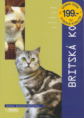Britská kočka Britská kočka
