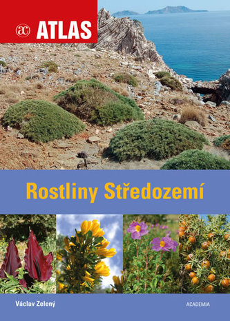 Rostliny Středozemí Rostliny Středozemí