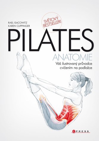 Pilates - anatomie Pilates - anatomie