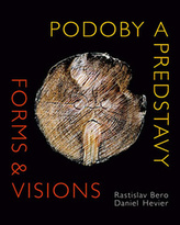 Podoby a predstavy Forms & Visions