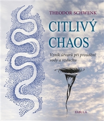 Citlivý chaos