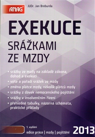 Exekuce srážkami ze mzdy 2013