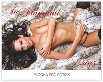 Kalendář 2015 - Girls In Flagranti - nástěnný s prodlouženými zády