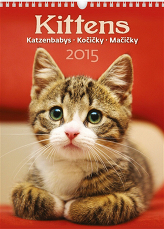 Kittens Kočičky - nástěnný kalendář 2015