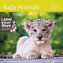Kalendář nástěnný 2015 - Baby Animals