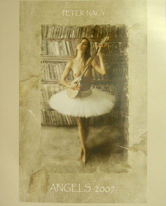 Angels 2007 -  nástěnné kalendáře