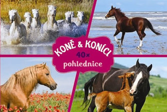 Koně - Pohlednice