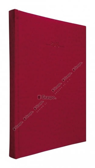 Diář 2014 - Titan červený denní A4