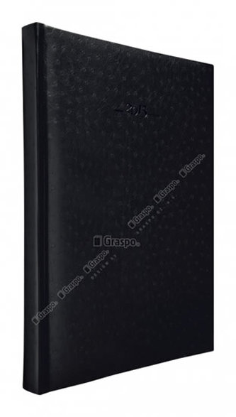 Diář 2014 - Titan černý denní A4