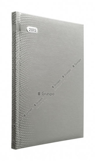 Diář 2014 - Dorato stříbrný denní A5