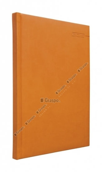 Diář 2014 - Juliet denní A5