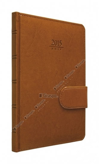 Diář 2014 - Kastor s poutkem na zavření týdenní A5