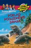 Poklad posledního draka