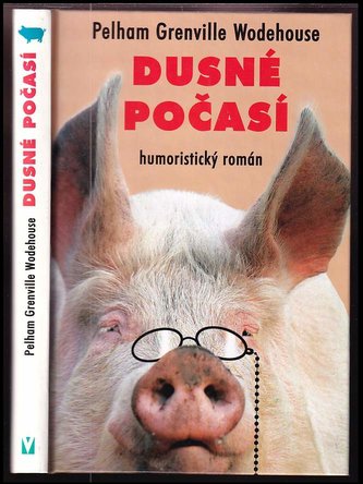 Dusné počasí