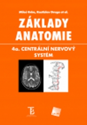 Základy anatomie 4a: Centrální nervový systém
