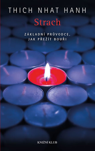 Strach. Základní průvodce, jak přežít bouři Strach. Základní průvodce, jak přežít bouři