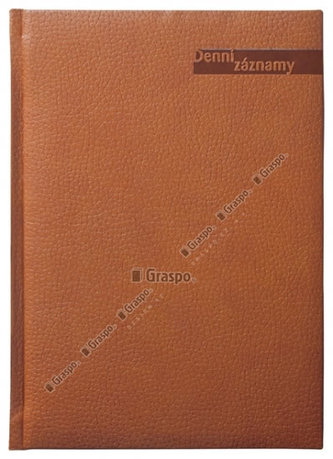 Diář 2017 - Denní záznamy Hnědé