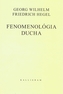 Fenomenológia ducha