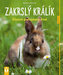 Zakrslý králík - Jak na to