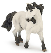 Kôň Camargue