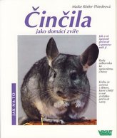 Činčila jako domácí zvíře