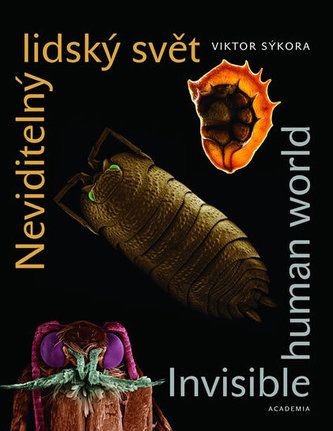 Neviditelný lidský svět