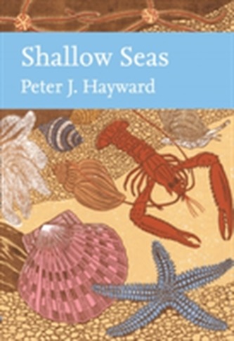Shallow Seas