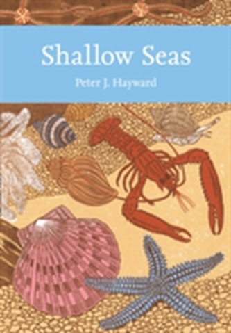 Shallow Seas