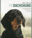 Dachshund Best of Breed