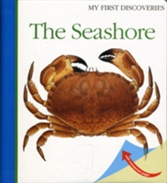 The Seashore